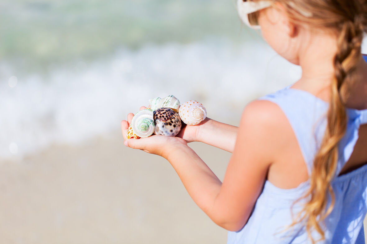 the cultural significance of seashells