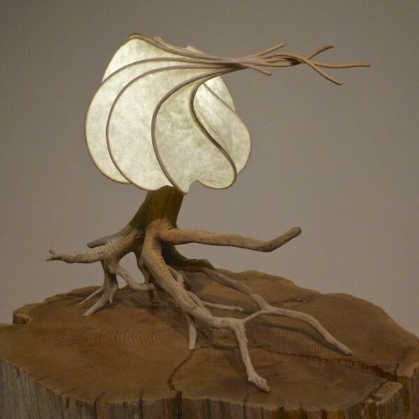 Sculpture Lamps and Driftwood