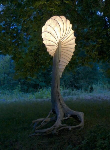 Sculpture Lamps and Driftwood