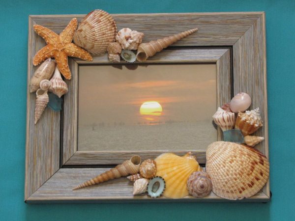 seashell crafts diy projects for beach lovers