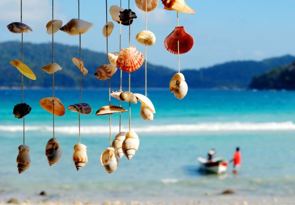 seashell crafts diy projects for beach lovers