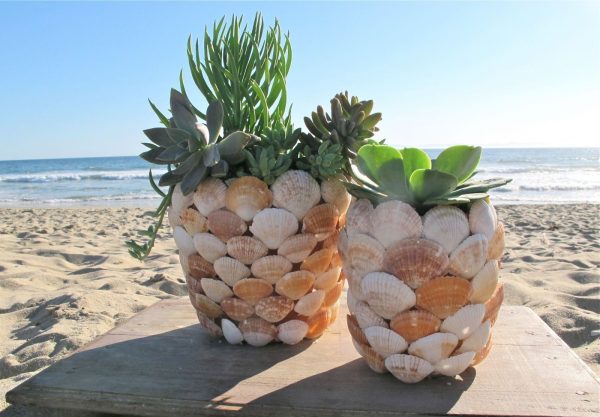 seashell crafts diy projects for beach lovers