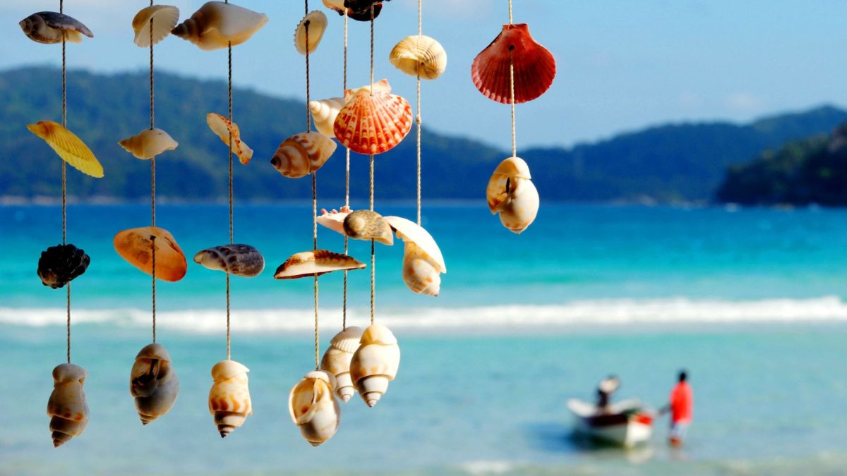 seashell crafts diy projects for beach lovers